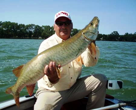 muskie from lake wisconsin