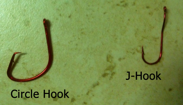 Your Go-To Catfish Circle Hook or Hooks?
