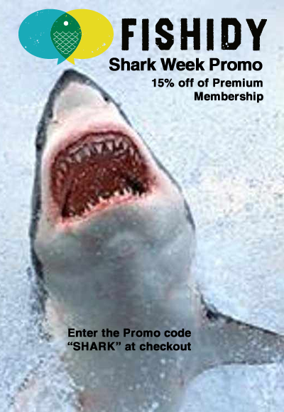shark week promo