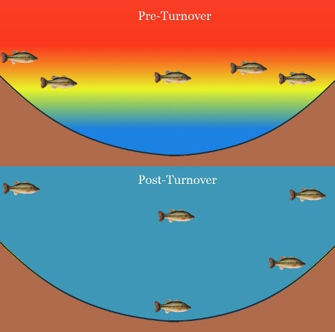 lake turnover in northeast ohio