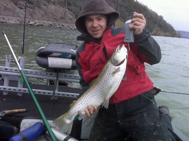 dan brown with brown trout