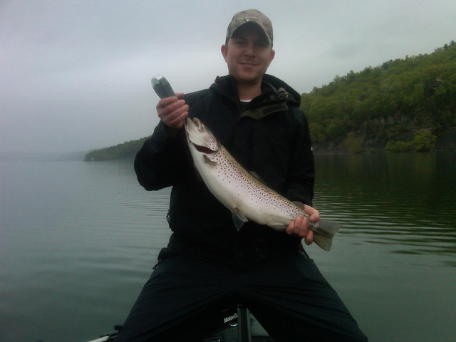 5 lb. brown trout