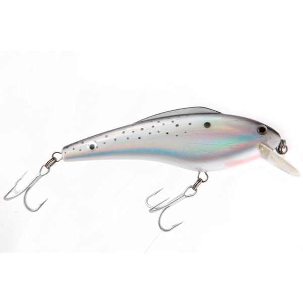 5 Must Have Saltwater Lures for the Fall Run