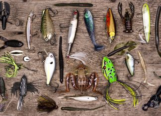 organize your tackle