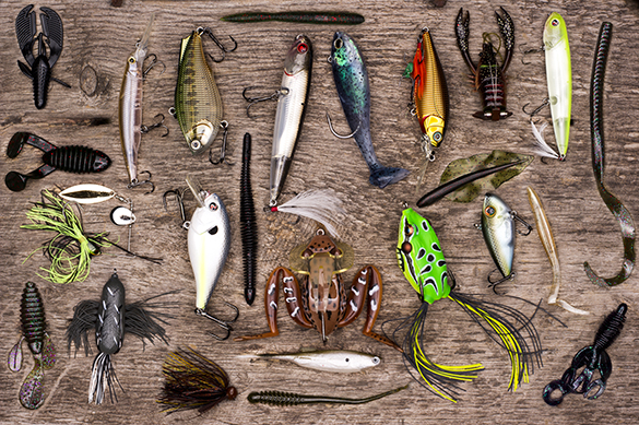 5 Ways to Maximize the Life of Your Baits