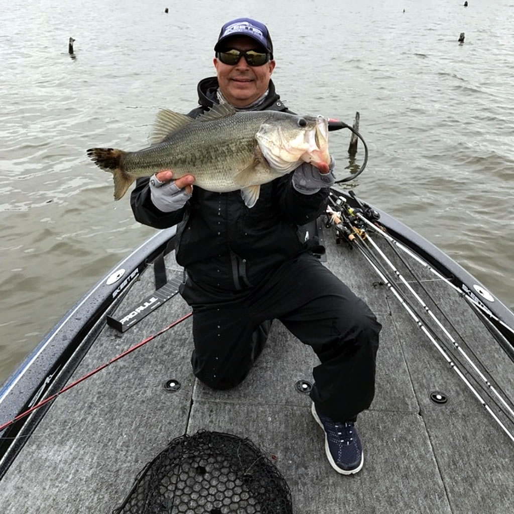 lake fork largemouth bass