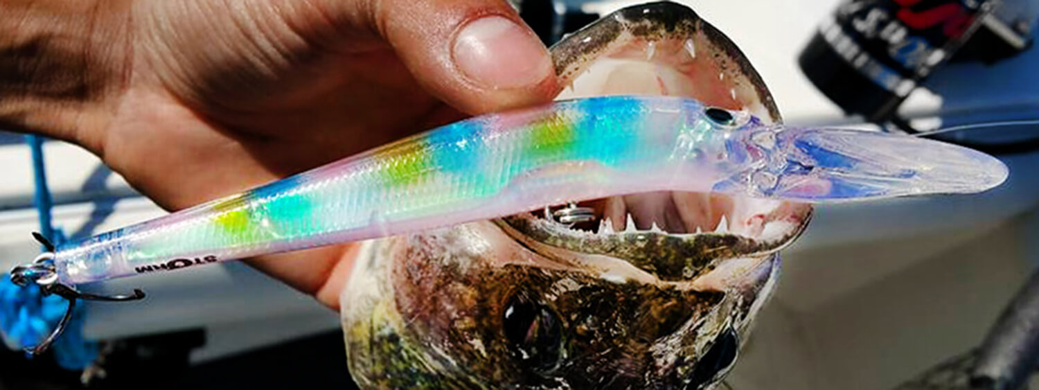 10 Trolling Baits to Try for Walleye This Year