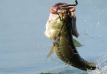best bass fishing lures
