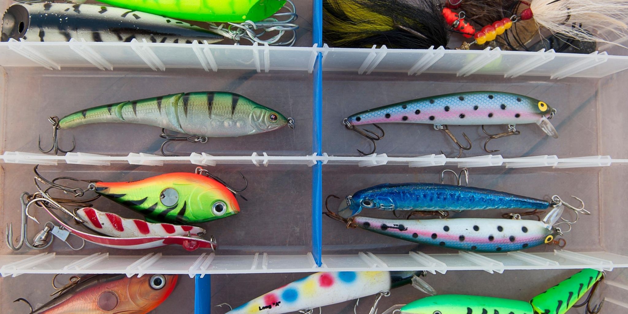 What to Look for When Buying a Tackle Box