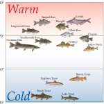 water-temperature-by-species